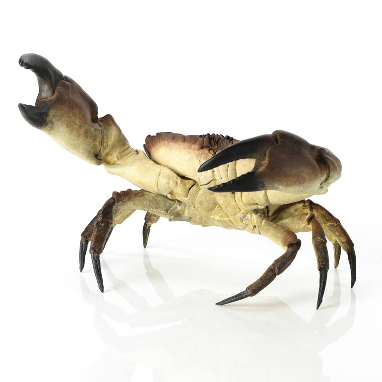 Print of Realism Animal Sculpture by Bjorn  Sjoling