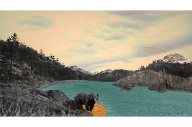 Print of Pop Art Nature Collage by Derek Dix