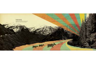 Print of Pop Art Nature Collage by Derek Dix