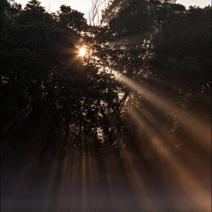 Collection Indiana Landscapes