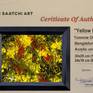 Certificate Of Authenticity