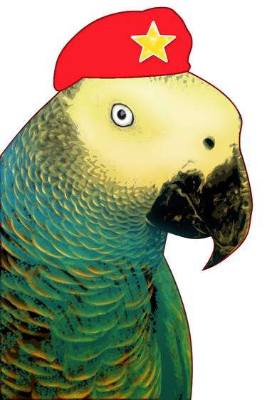 Revolutionary Parrot thumb