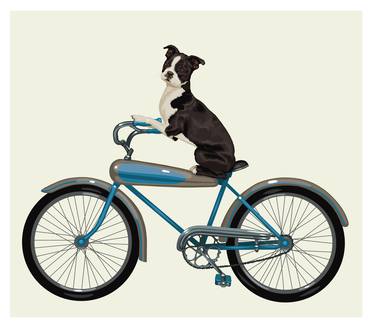 Boston Terrier on a Bike thumb