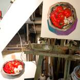 modern still life of pepper tomato and garlic in a metal plate by olivier payeur