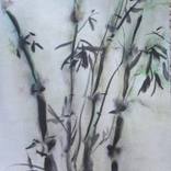 Bamboo trees by G Soopi