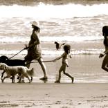 Beach Walk by G Soopi