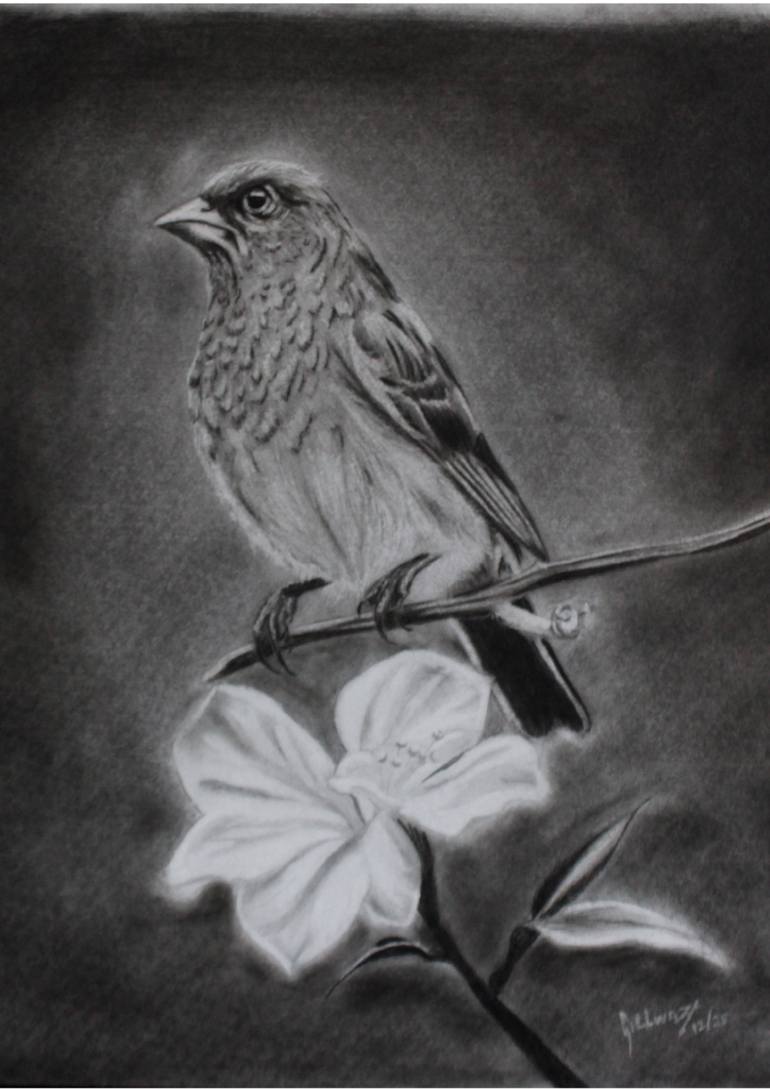 Original Realism Wildlife Drawing by Jein Gillwaz