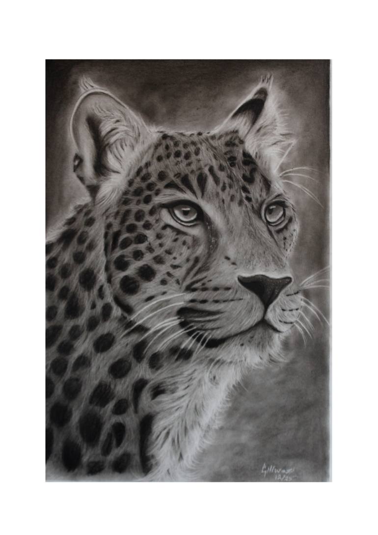 Original Black & White Wildlife Drawing by Jein Gillwaz