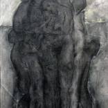 Collection CHARCOALS