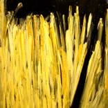 Collection ABSTRACTION