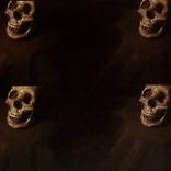 Collection MEMENTO MORI 