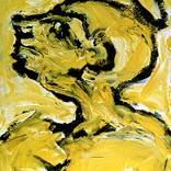 Collection YELLOW SAINTS