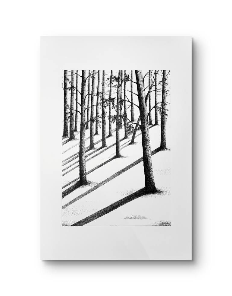 Original Black & White Nature Drawing by Justyna Grunwald