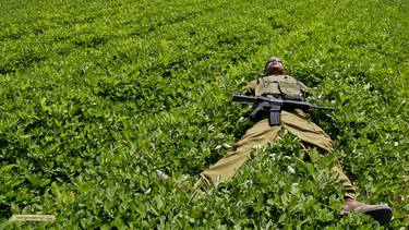 Drowning in Green Fields thumb