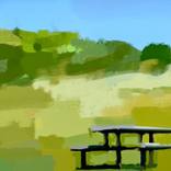 Collection Landscape