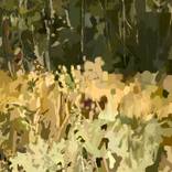 Collection Landscape