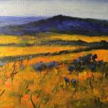 California Poppies and Wildflowers by Judy Art