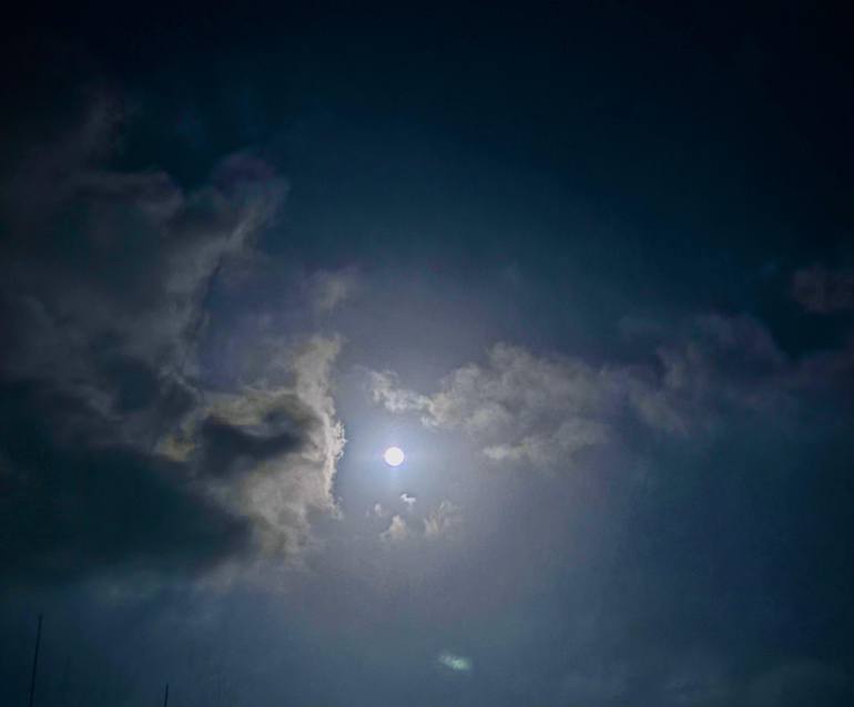 Original Nature Photography by Dave Bhumika Virendrabhai | Digital Art Art on Other | Silent Watcher of the Night
