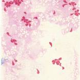 Sakura Saku IV by Hiroko Imada