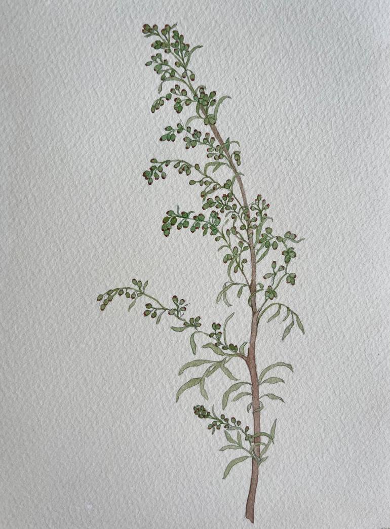 Original Botanic Painting by Kseniia Chebotarova  Illustration Art on Paper  Herbal illustration