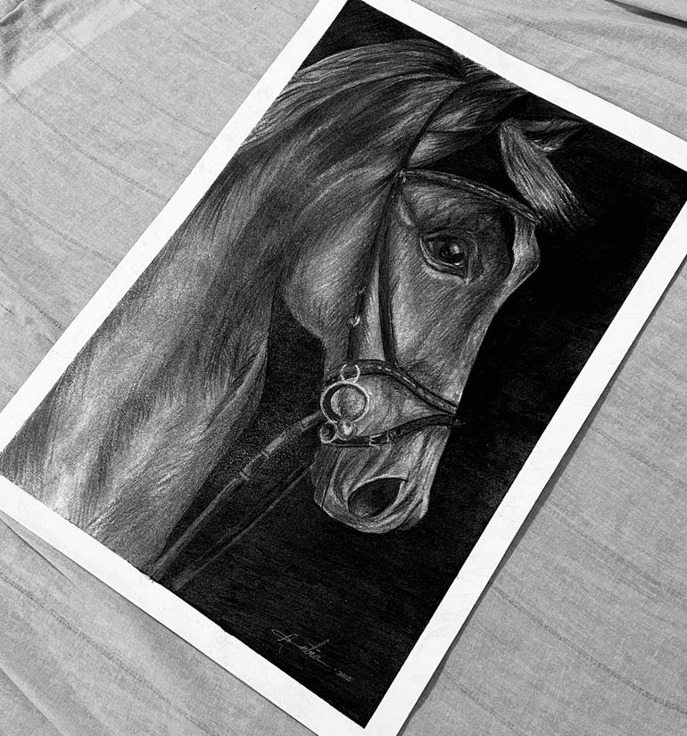 Original Black & White Horse Drawing by Antra Jain