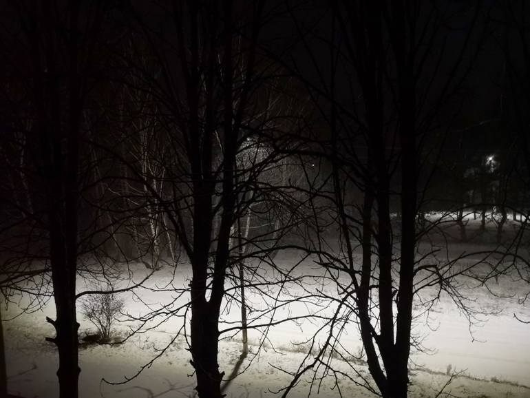 Original Nature Photography by Karina Sunlife | Digital Art Art on Paper | The Rhythms of a Snowy Night #1