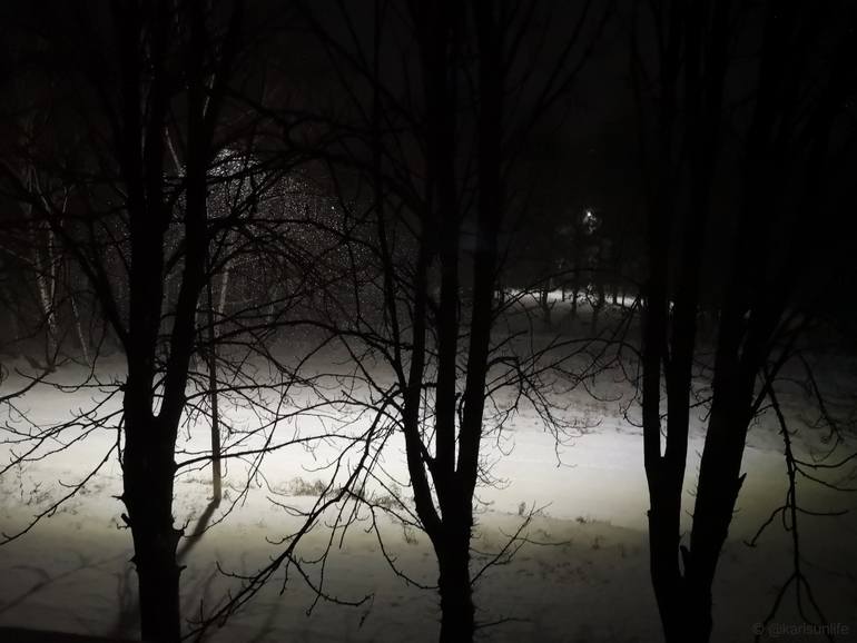 Original Nature Photography by Karina Sunlife | Classicism Art on Paper | The Rhythms of a Snowy Night #2