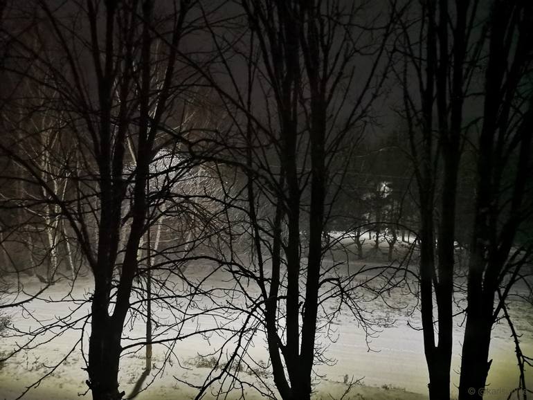 Original Nature Photography by Karina Sunlife | Black & White Art on Paper | The Rhythms of a Snowy Night #3