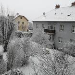 Collection Poetic winter scene. Snow crystals on branches. Winter stillness