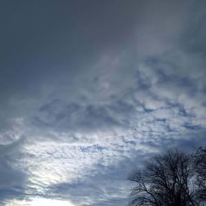 Collection Sky and branches fine art photography.
