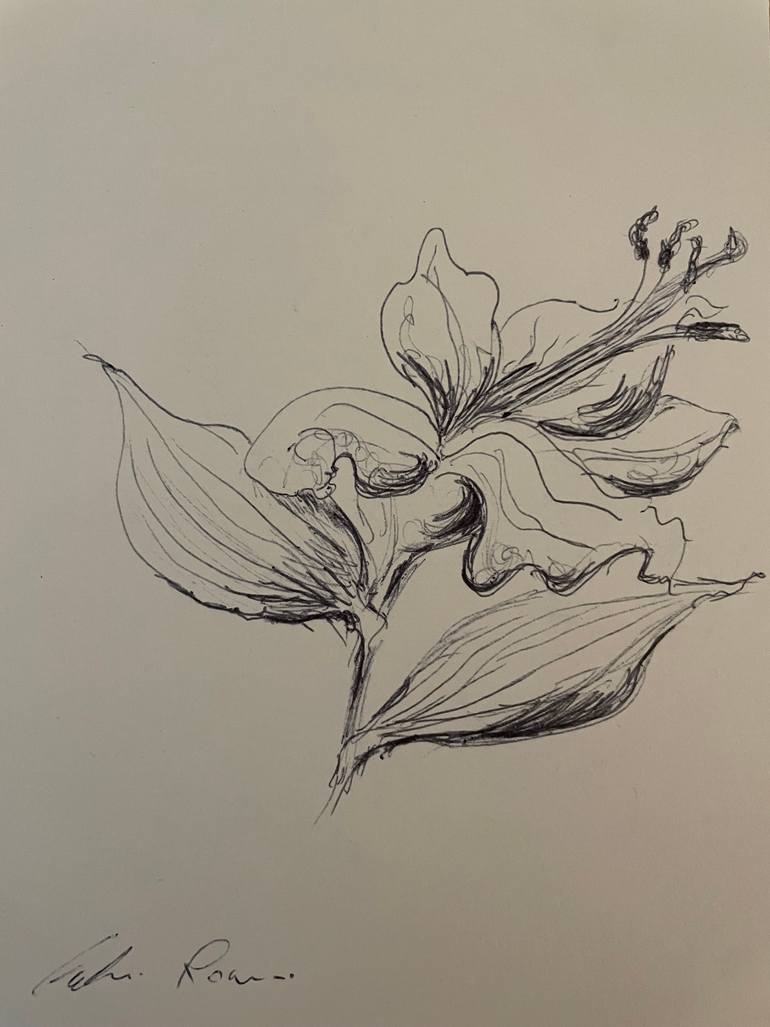 Original Floral Drawing by Catherine Rosario | Black & White Art on Paper | Orchid