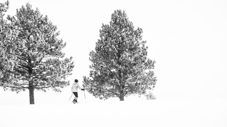Original Landscape Photography by Robert Niemeier | Black & White Art on Aluminum Dibond | The Long Way Home