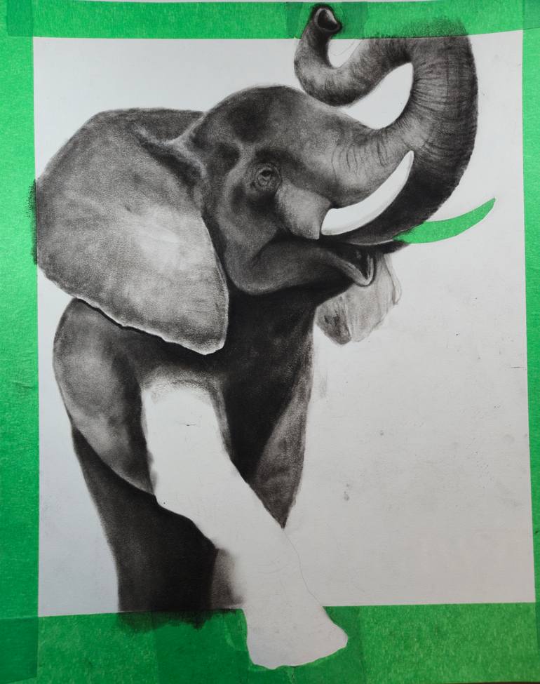 Original Black & White Animal Drawing by Jessmon Joshy