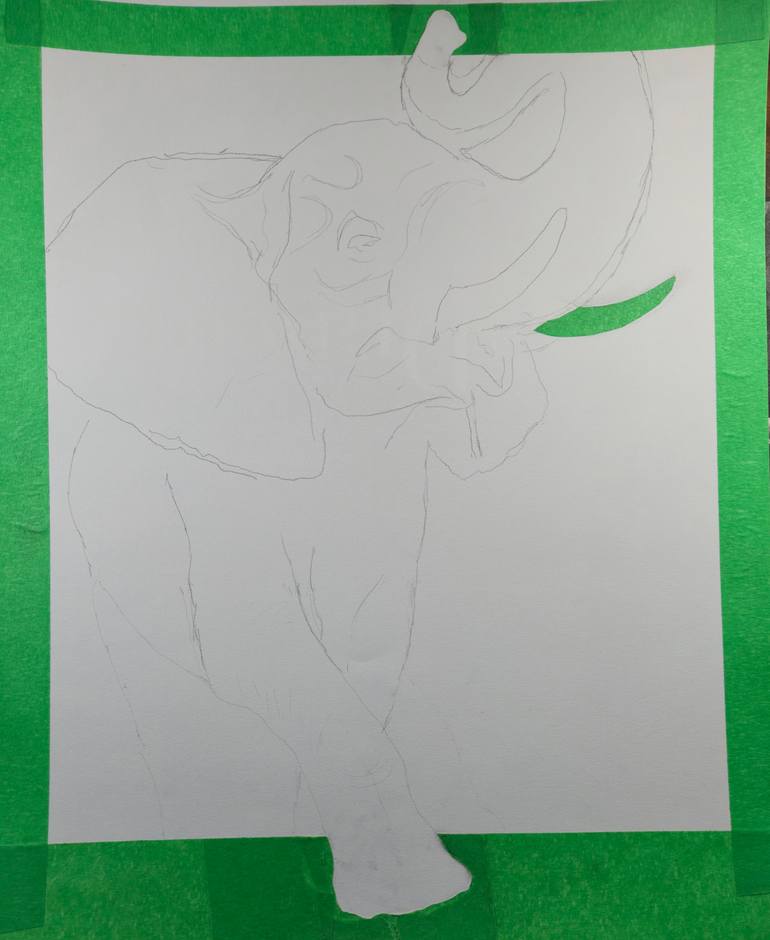 Original Black & White Animal Drawing by Jessmon Joshy