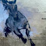 Fire Horse by Sheila Daube