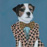 Collection Dog Days of Summer