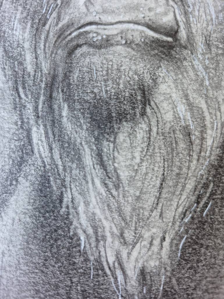 Original Figurative Animal Drawing by Jean-Francois Miaule