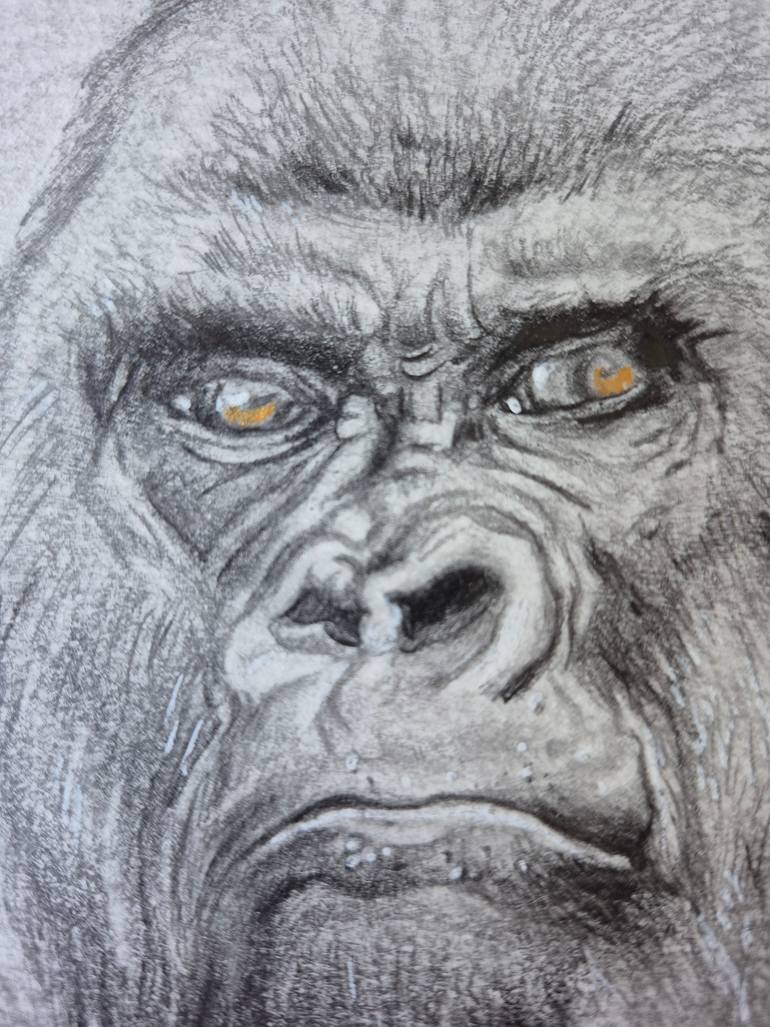 Original Figurative Animal Drawing by Jean-Francois Miaule