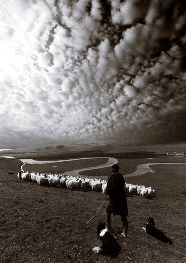 The Shepherd (Cuckmere Haven) thumb