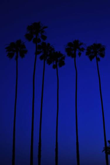 Los Angeles Palm Trees - Limited Edition 2 of 5 thumb