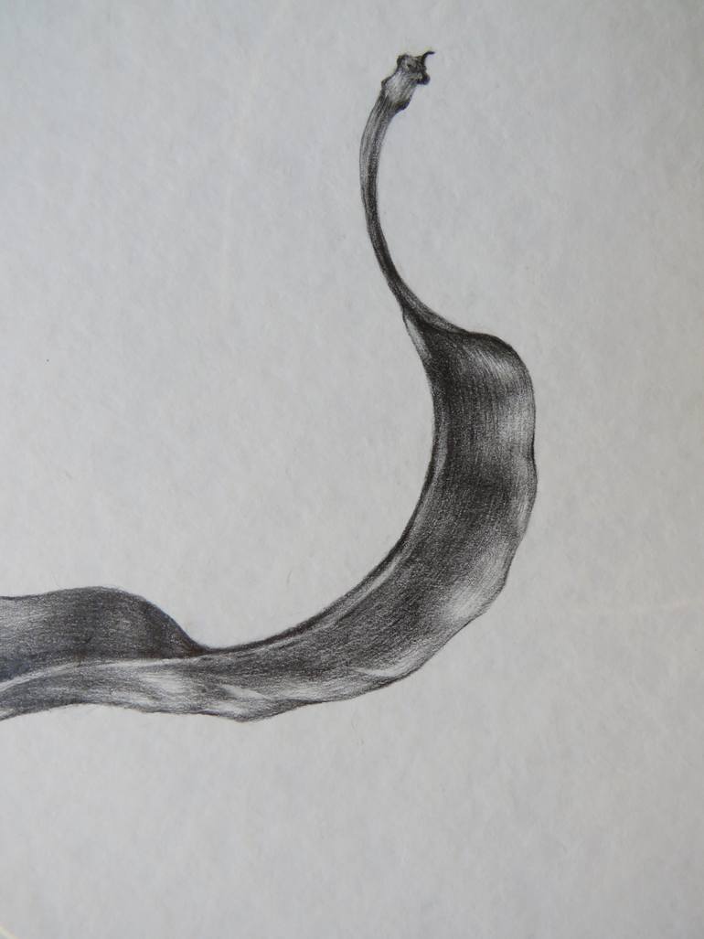 Original Black & White Floral Drawing by Anna Mancheva