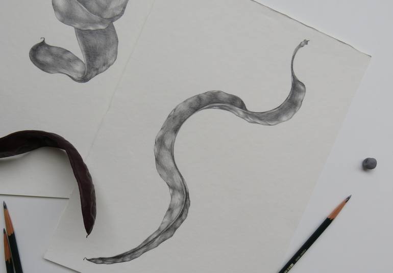 Original Black & White Floral Drawing by Anna Mancheva