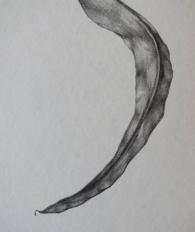 Original Black & White Floral Drawing by Anna Mancheva