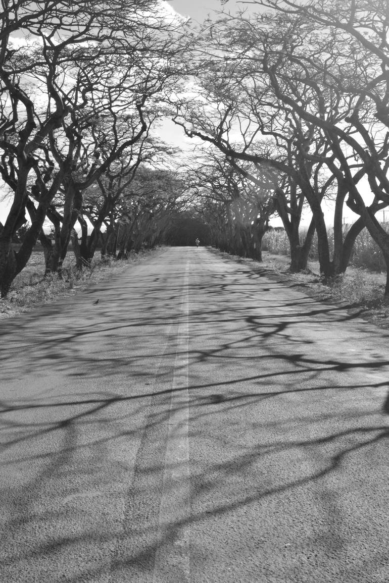 Original Abstract Photography by Domingue Damien | Abstract Art on Other | The Long Way In ( Mauritius )