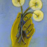 Collection Artists Who Illuminate