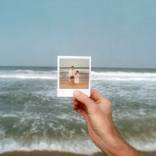 Collection Andrea Stanford