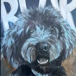 Doodle Bear by Katy Brack