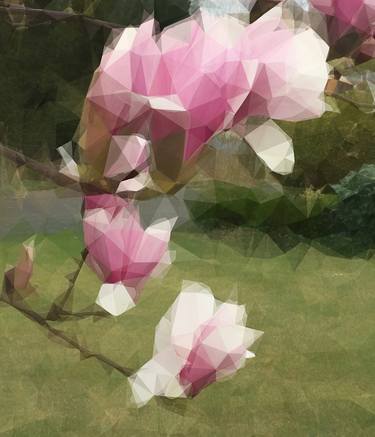 Print of Cubism Botanic Photography by Renee Politzer