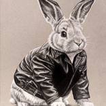 Jacket Bun by Haley Justitz