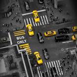 Collection Urban Noir: Yellow Line